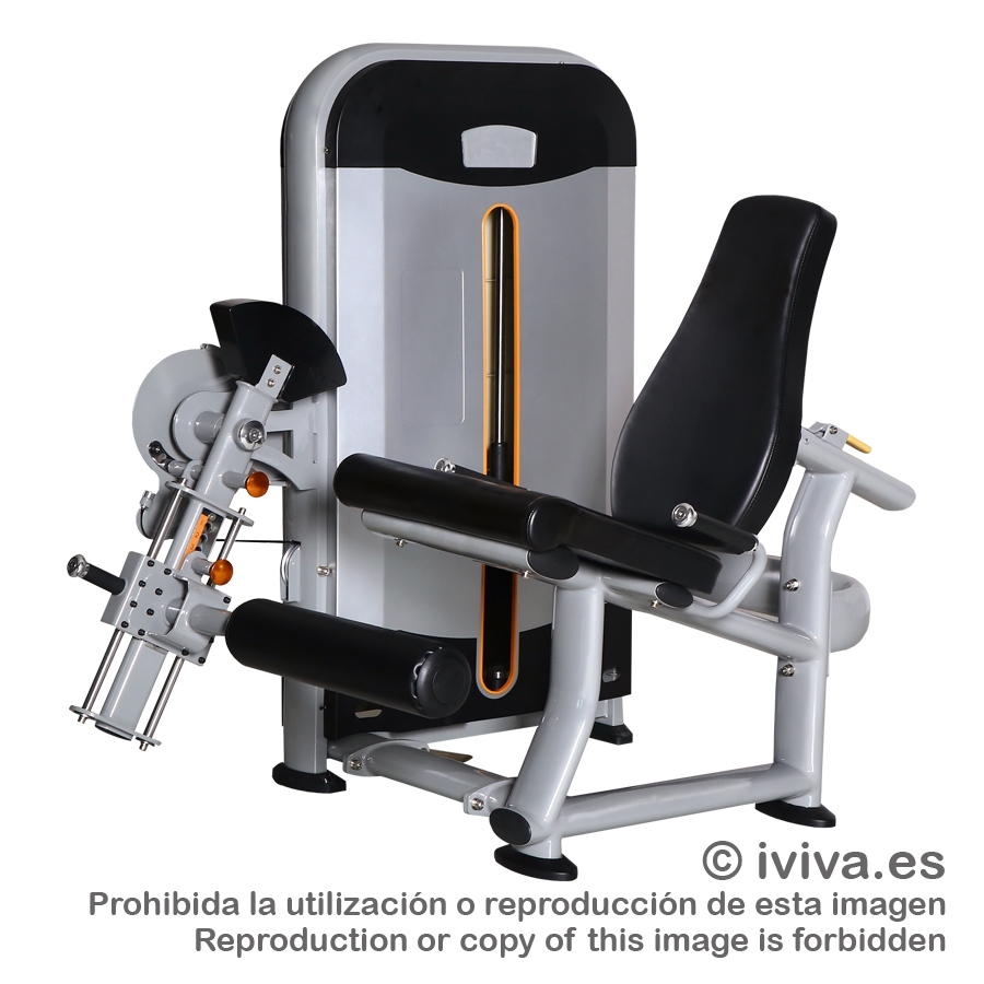 Extensión de cuádriceps. Línea profesional.