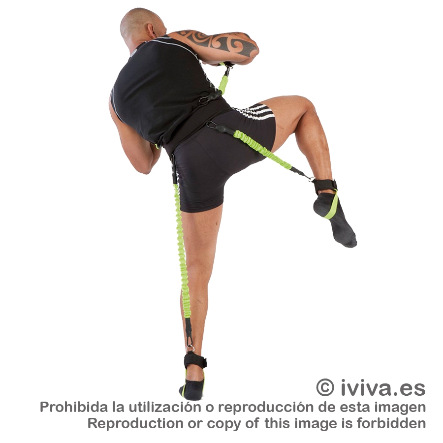 Punch Trainer medio.