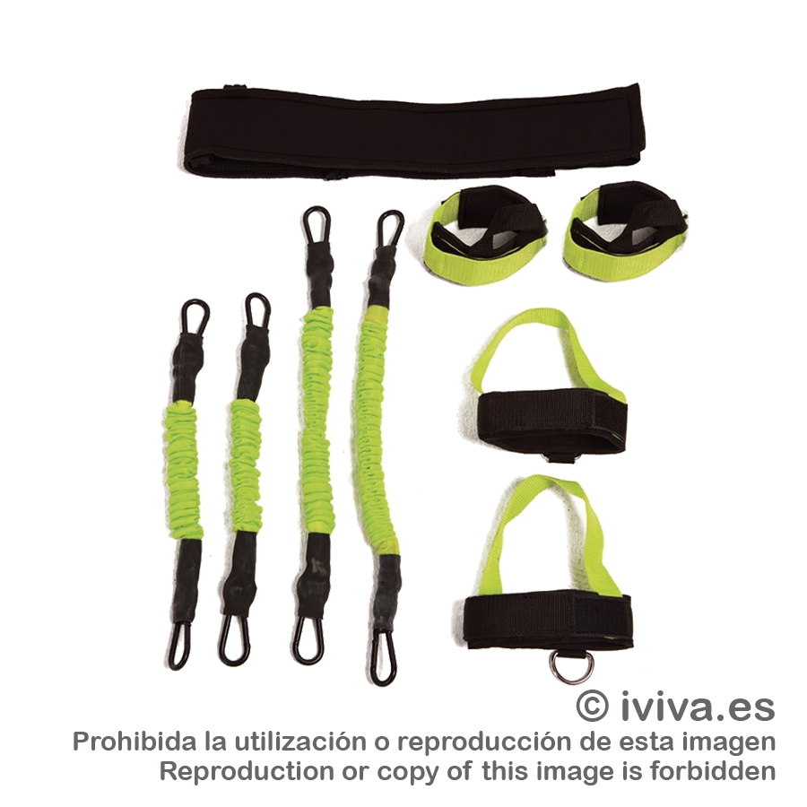 Punch Trainer medio.